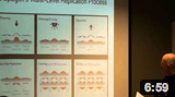 Photolithographic Replication Methods